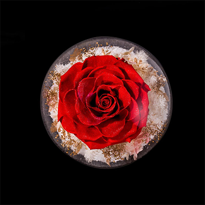 玫瑰星球- 2019限量黑金系列- Rose De Amor